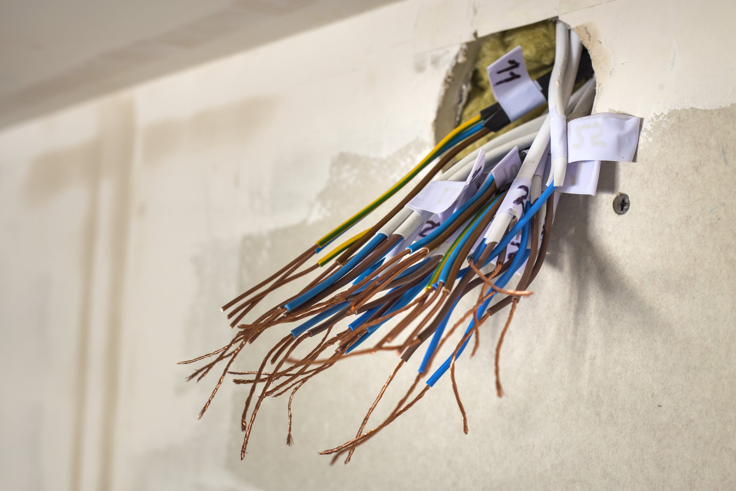 exposed electrical wires